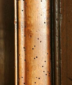 Real woodworm holes in an antique French Armoire.