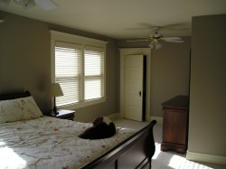 Bedroom with khaki colored walls, off-white ceiling and trim.