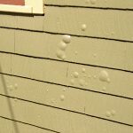 Blistering paint on exterior wood lap siding.