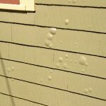 Blistering acrylic paint on exterior wood lap siding.