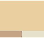 Paint color scheme using Benjamin Moore Harvest Time 186, Cafe Royal 1130 and Light Breeze 512.
