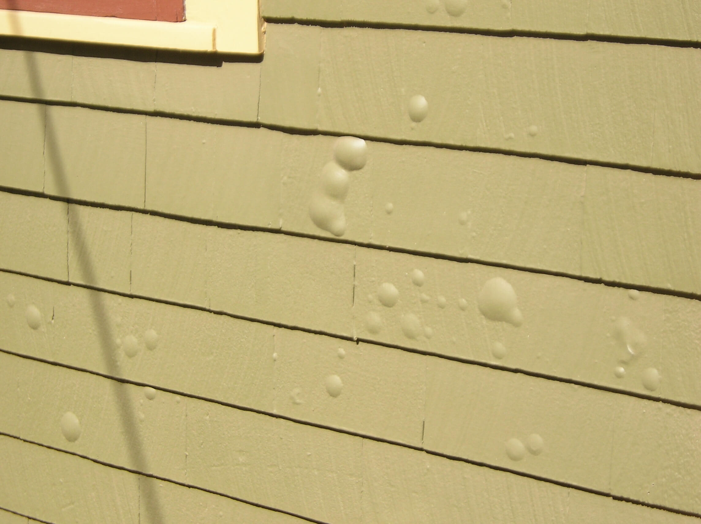 Blistering paint on old lap siding.