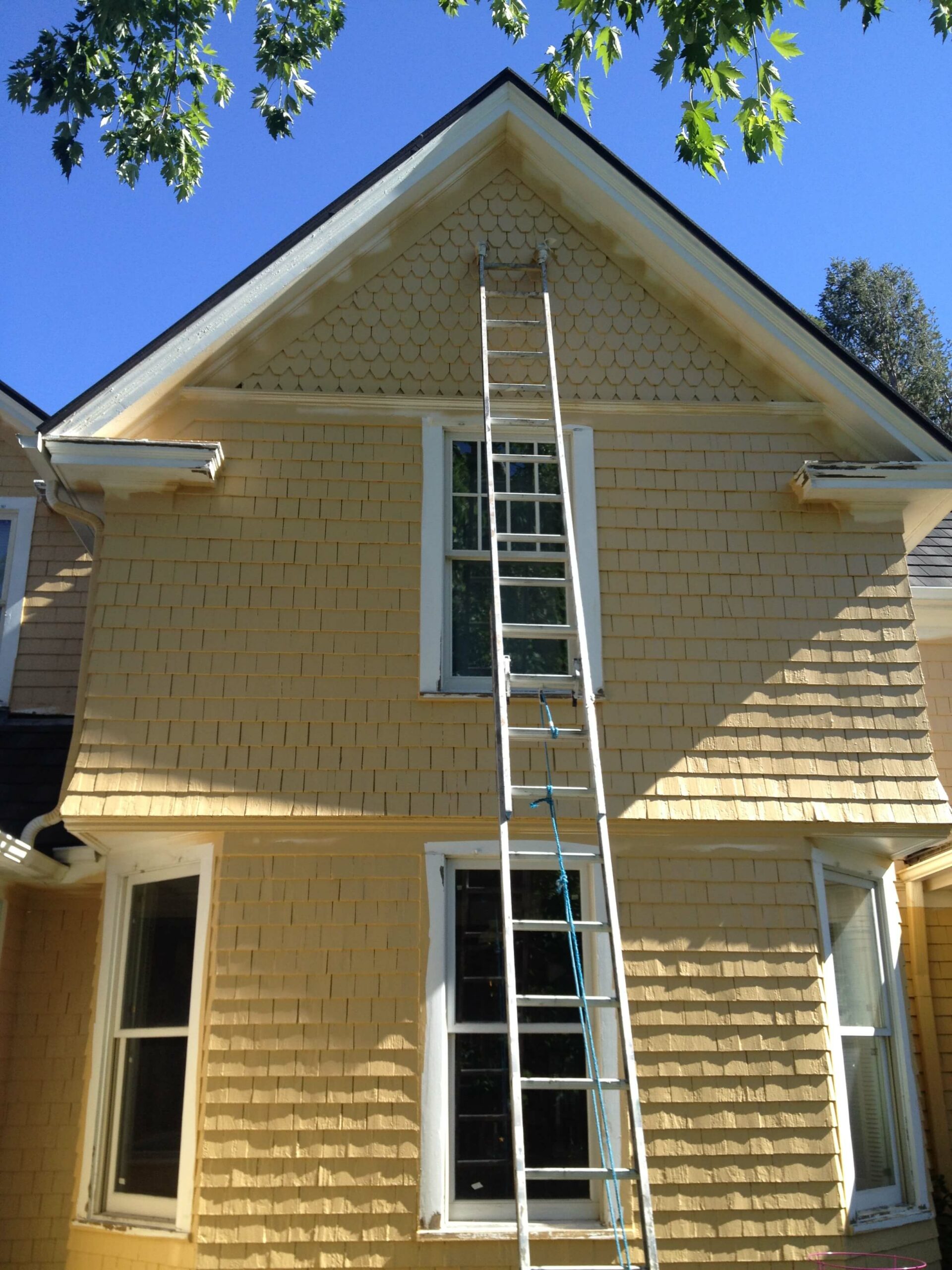 Long extension ladder extended up to a tall gable.