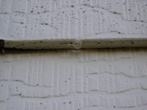 Mold and mildew on exterior Masonite siding.