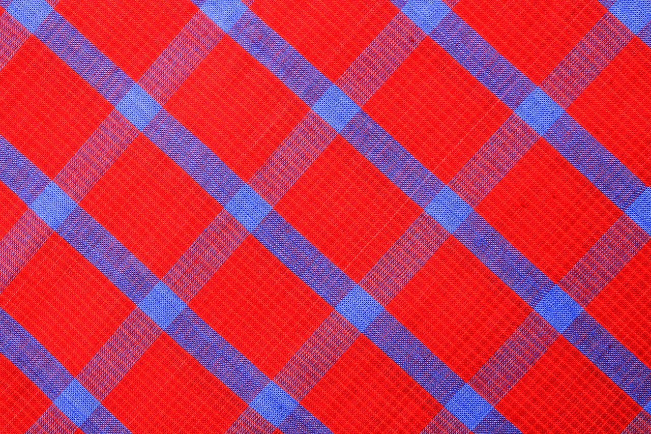 Red and blue plaid fabric.