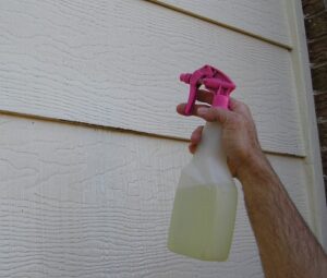 Spraying bleach and water on molded surface with hand sprayer.