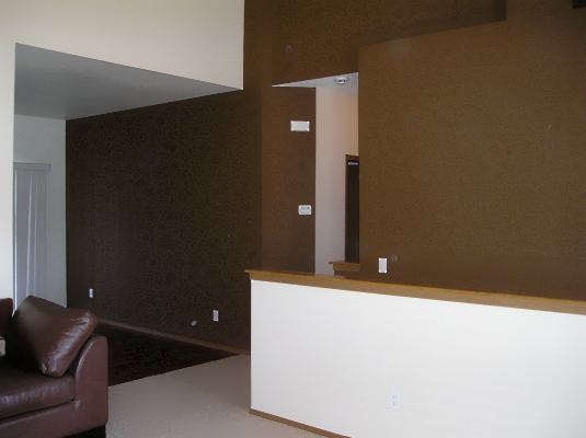 Brown Accent Walls